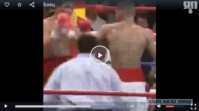 В этом видео вся жизнь