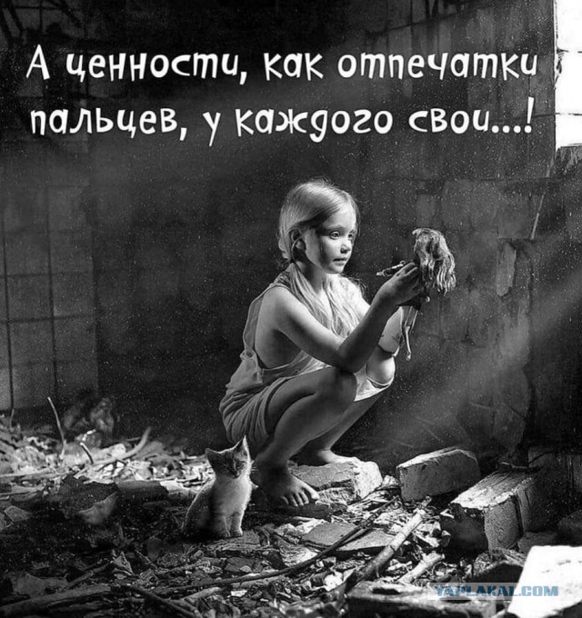 Так себе картинки 07.02.22