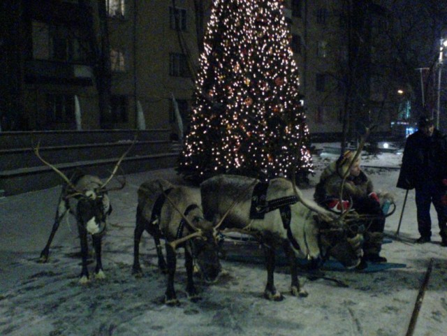 Проститутки тоже подорожали