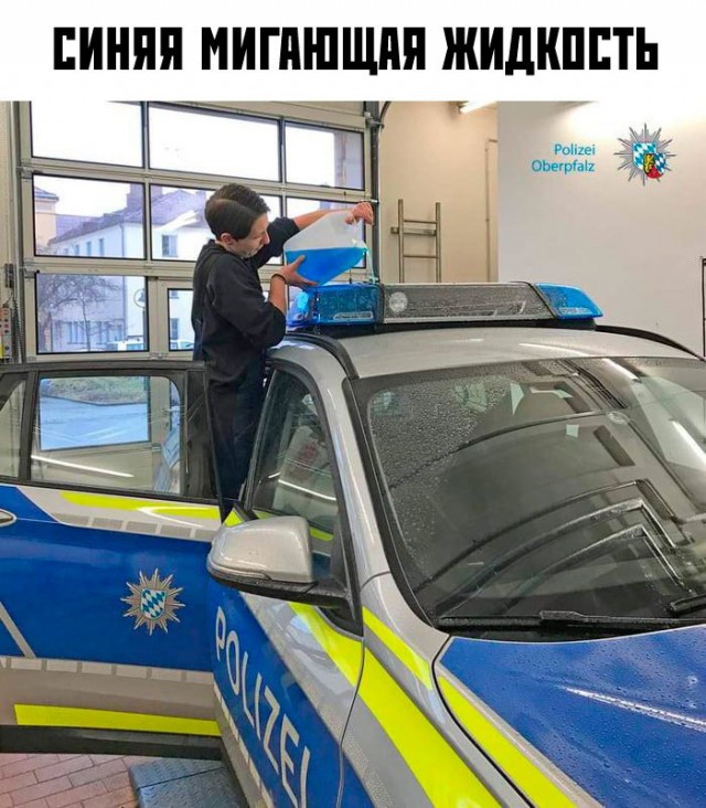 Юмор и приколы из социальных сетей