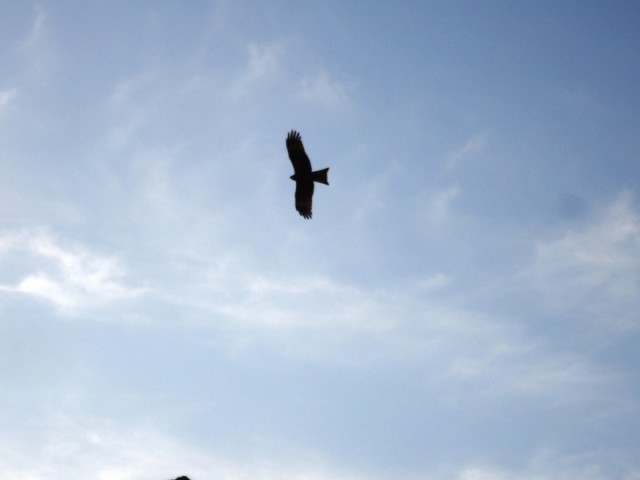 Рыбалки пост