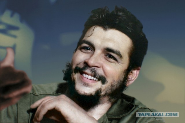 Енот!  Будь бдителен!