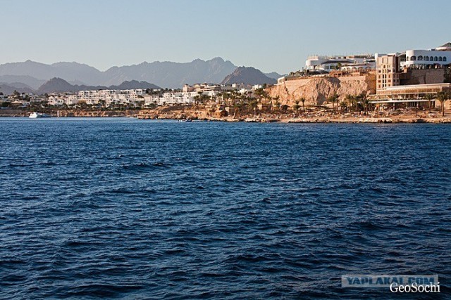 Синайские приключения. Шарм-эш-Шейх и окресности