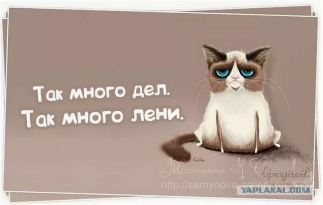 Победная поступь идиотизма по планете – том 5