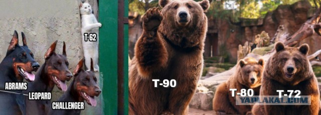 Leopard-2A6, что за зверь?