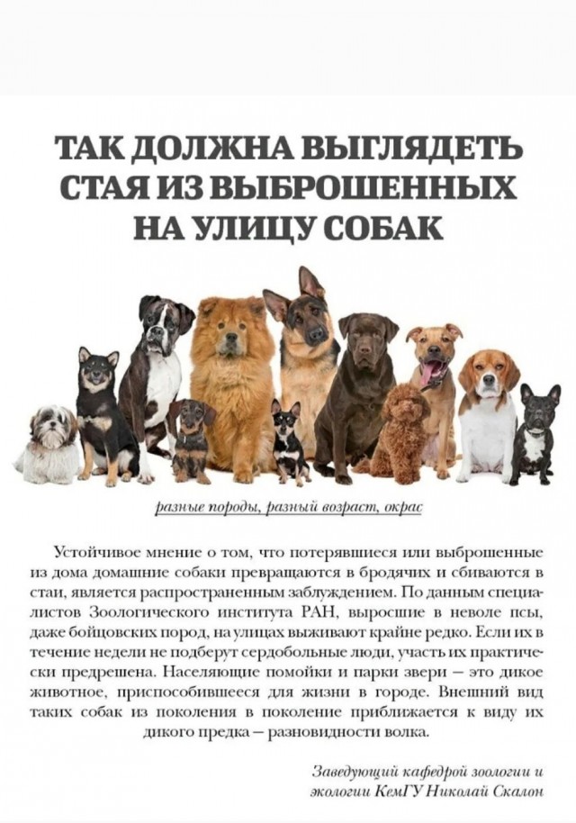 Сила добра из Самары