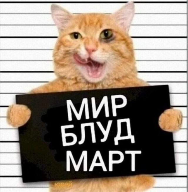 Вы нация ублюдков! Вы никогда не выиграете у Запада.