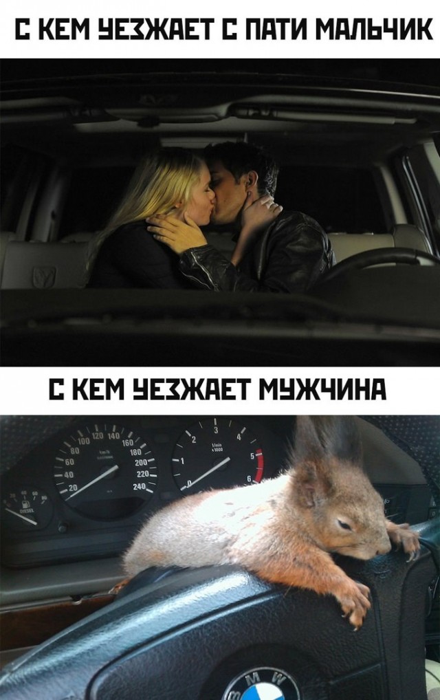 Так себе картинки 24.07.23
