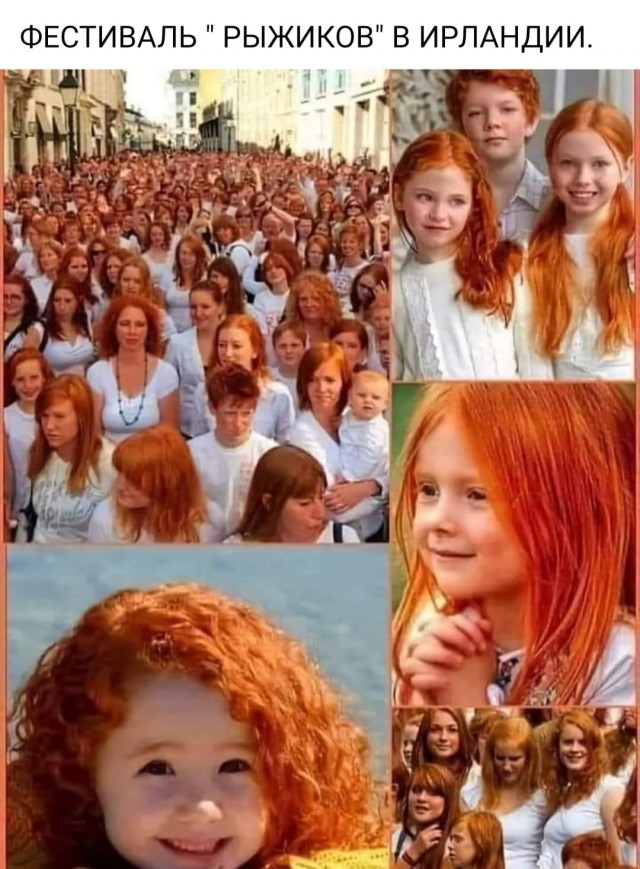 Рыжие