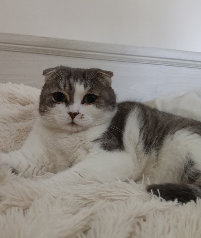 Ну вот и я стал рабом.