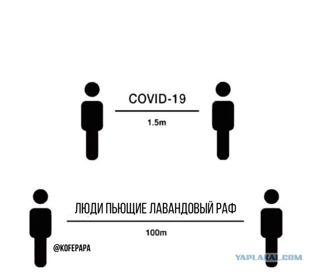 А помните пандемию короновируса?