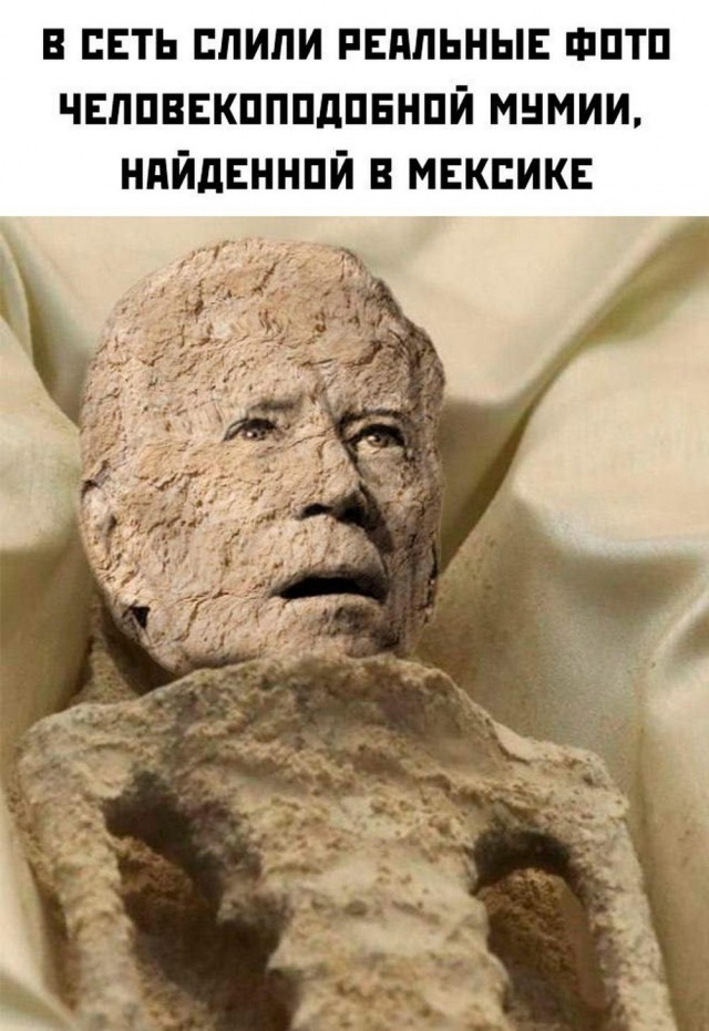 Отряд быстрого деградирования
