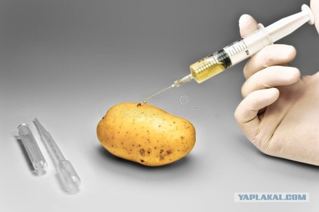 Белорусская вакцина от «запоев и похмелья» уже проходит лабораторные испытания