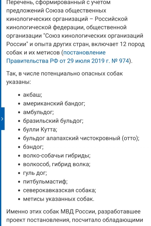 Штраф 3 тысяч рублей может грозить россиянам за выгул собак без намордника и поводка