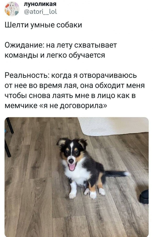 Завалялось тут случайно немного забавных картинок