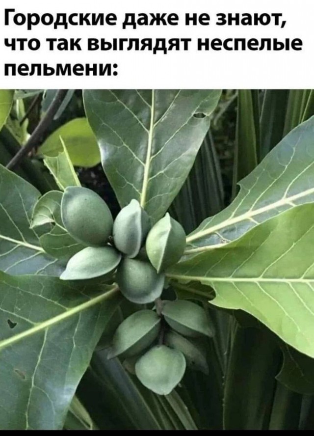 Так себе картинки 02.09.24