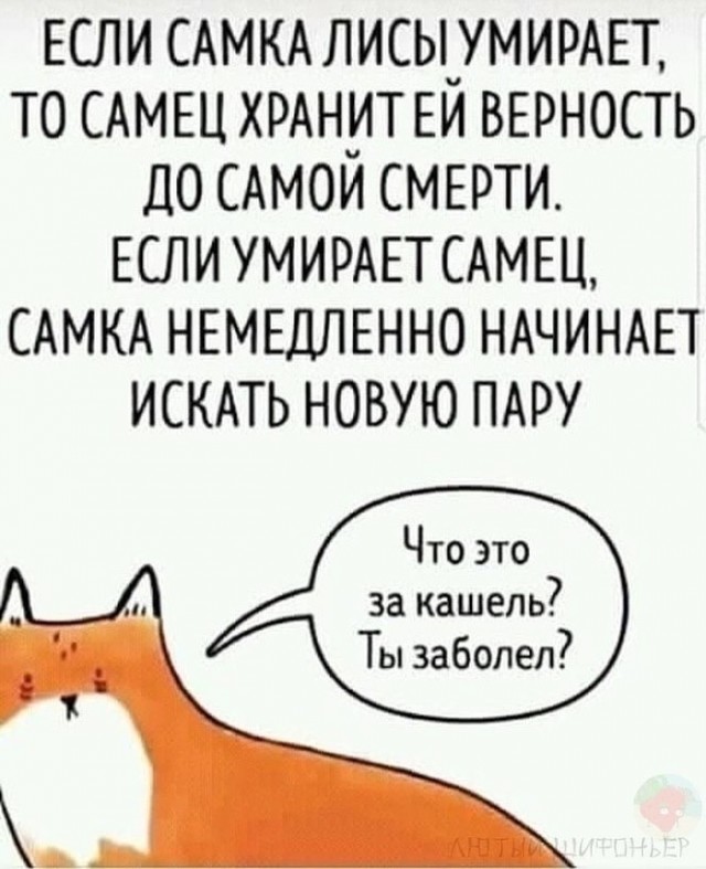 Быстрая деградация
