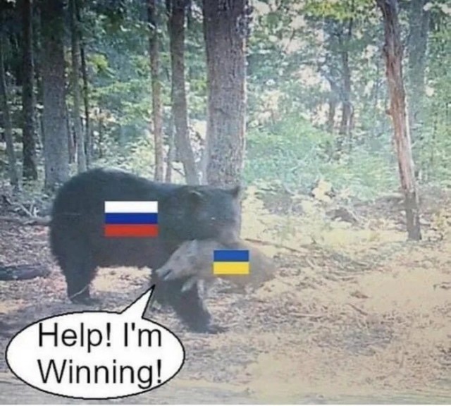 Германия не верит, что Украина сможет выиграть войну