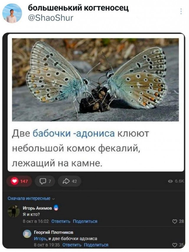 Веселые картинки после длинных выходных (09.01)