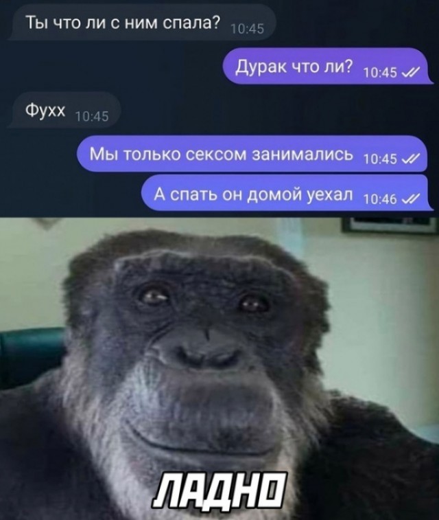 Баяны: август 2023 г - декабрь 2023 г