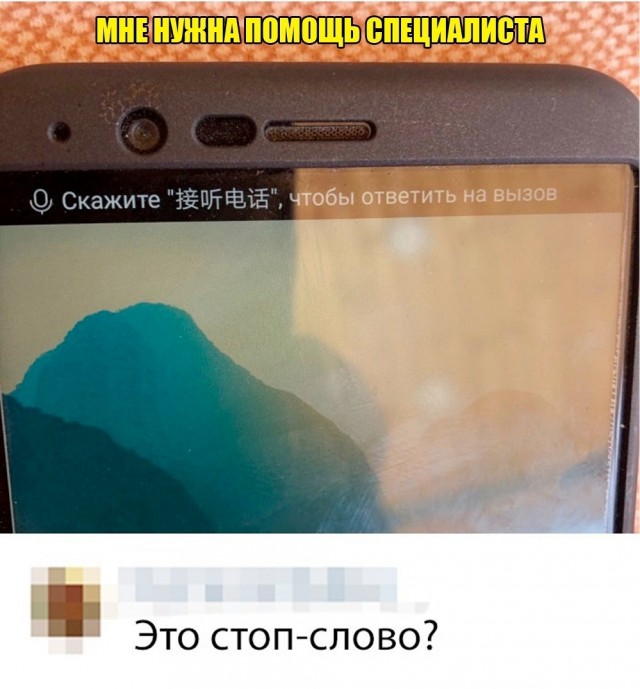 Весёлый полтишок 23.01.25