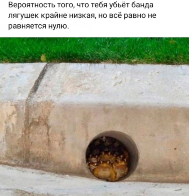 Так себе картинки 04.02.25