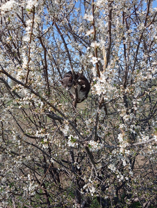 Весна пришла.