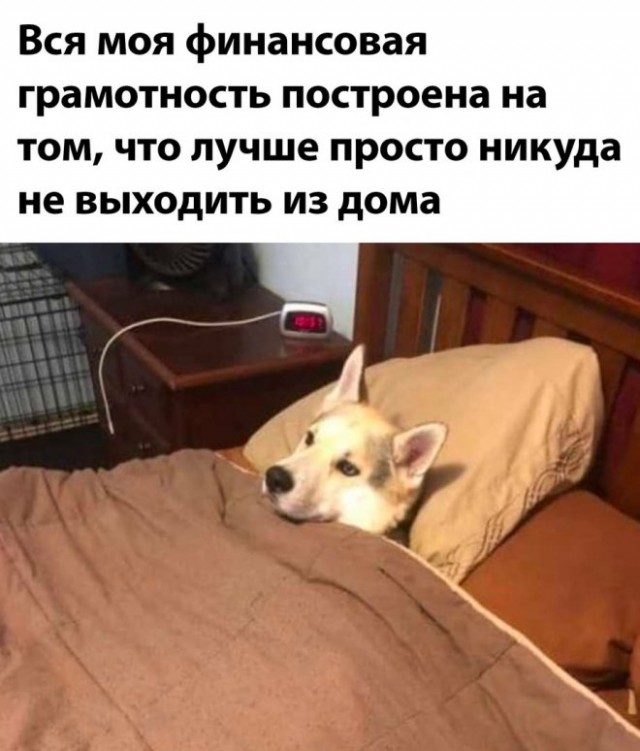 Веселые картинки в понедельник (12.05)