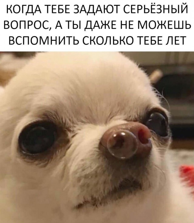 Решил поделиться моей коллекцией боянов (часть 2)
