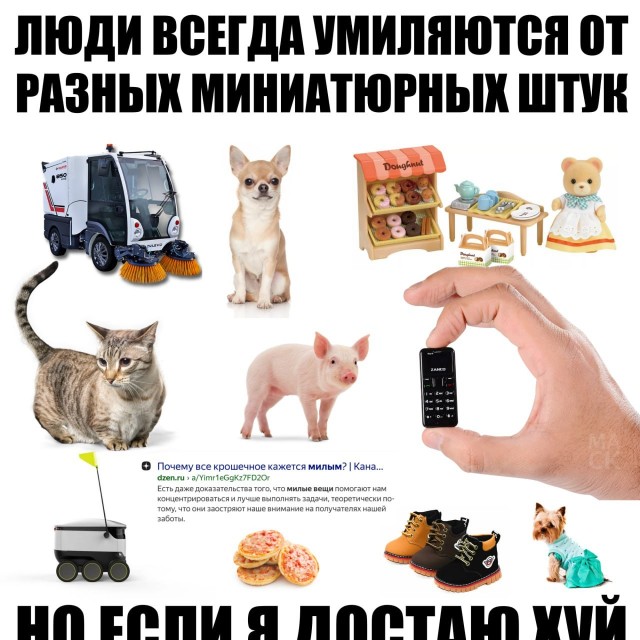 Без морали