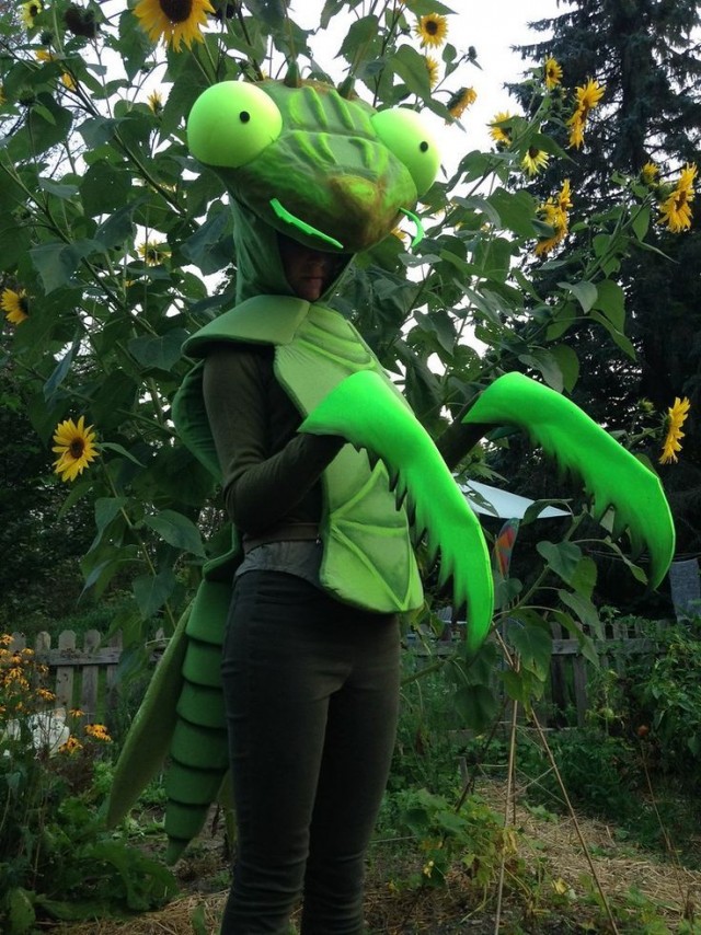 Важное открытие учёных. Белок-палитра.