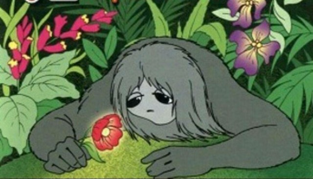 А вы видели маленьких ленивцев?