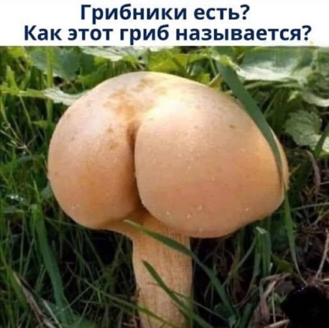 Картинки для деградации 28 (разной степени свежести)