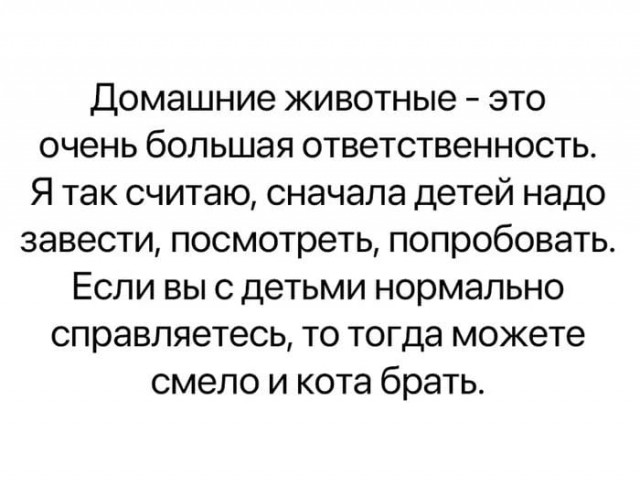 Воскресные картинки
