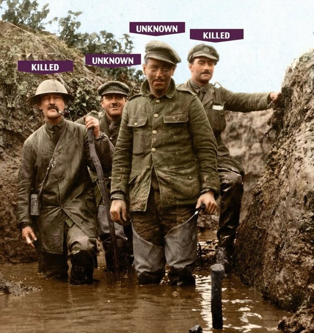 Живу как в сказке