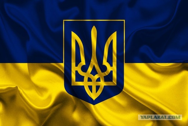 С украинским трезубцем на шапке и американским флагом
