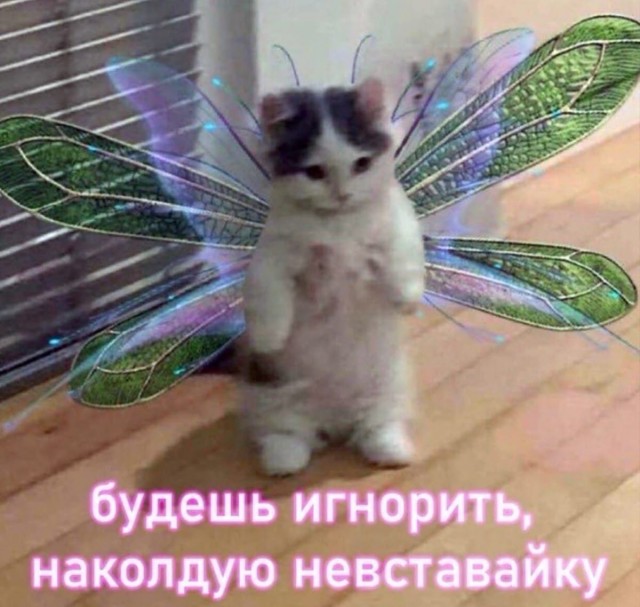 Поздравляю всех причастных с прошедшим днем импотенции