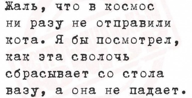 Когда сразу пять звёзд.