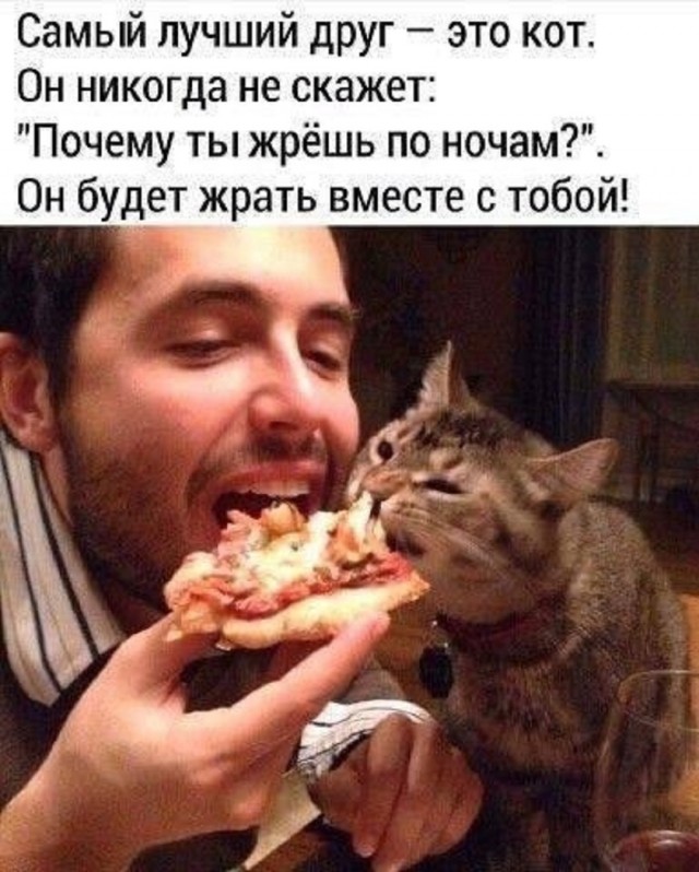 Так себе картинки 19.03.26