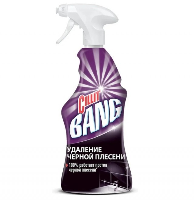 Литературное заведение "Буквица"