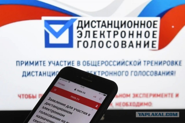 Верховный суд проверит порядок онлайн-голосования на соответствие Конституции