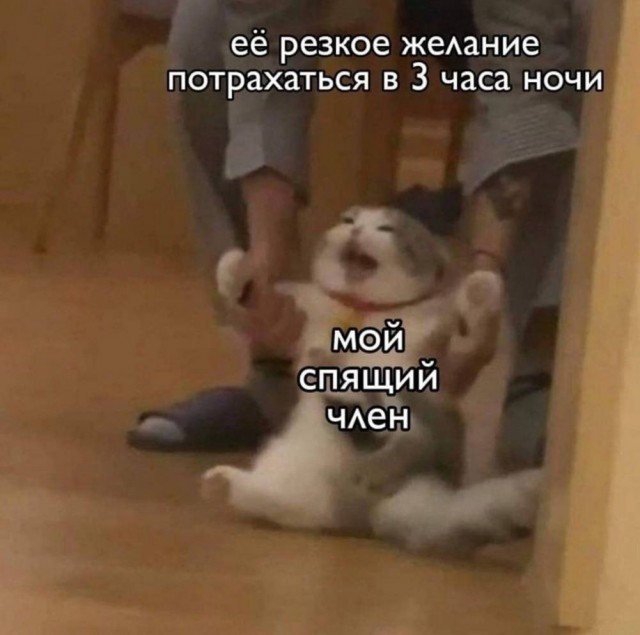 Забавные и не очень скромные картинки - 32