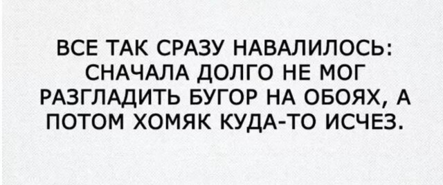 Картиночки, баянчики 15 июня