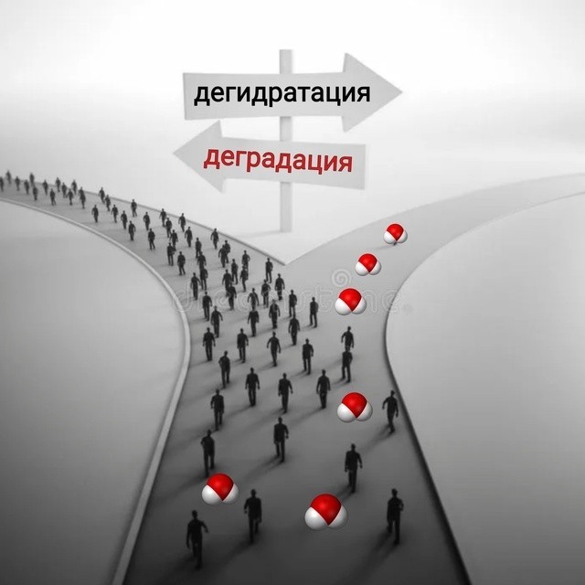 Вместо мозга — аппендикс
