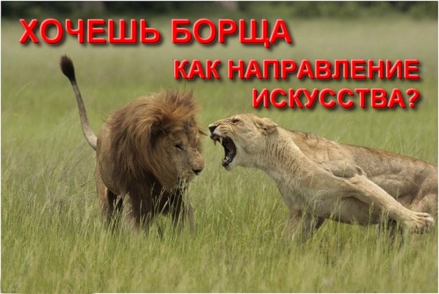 Деревенская Америка
