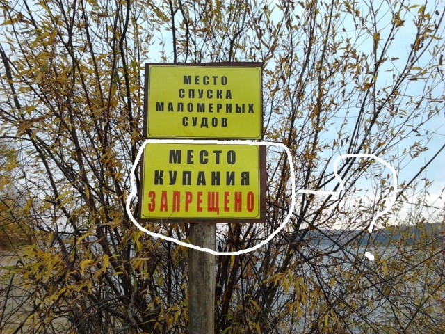 Картинки, объявления - 2