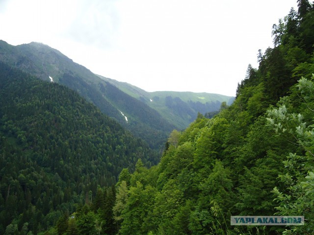Великолепная Абхазия