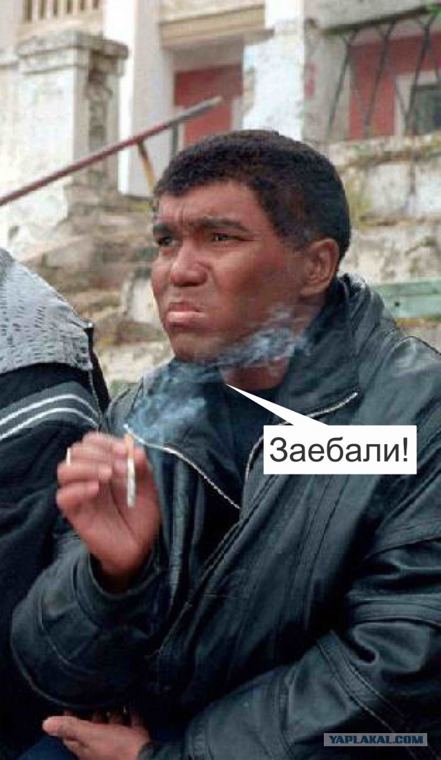 Во всем виноваты русские