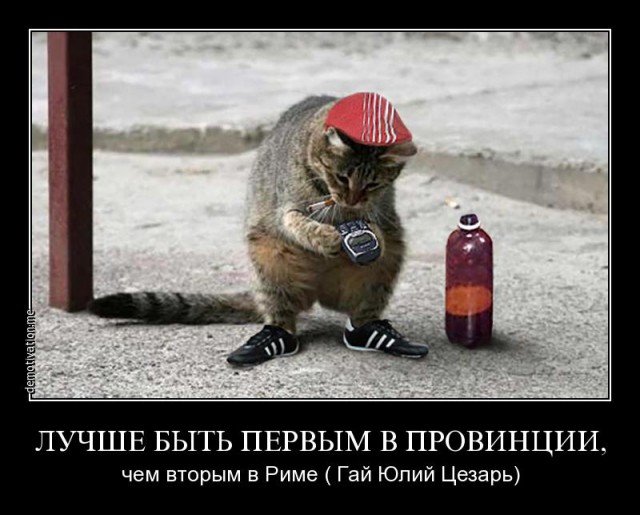 Смешные картинки, добавляйте свои!