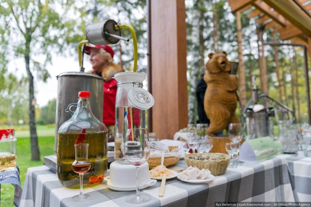 Алкосаммит "Самогонный Давос"